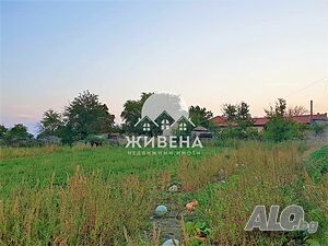 image_6