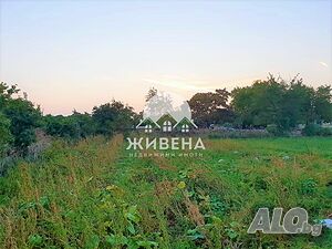 image_7