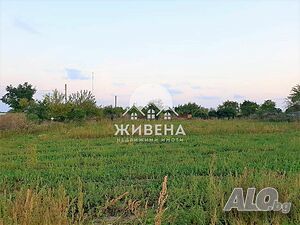 image_12
