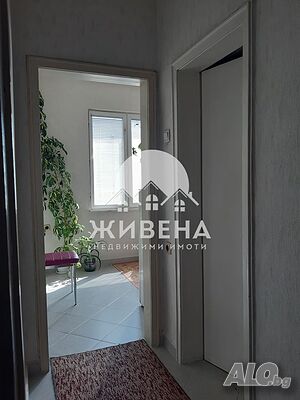 image_8
