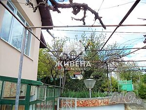 image_6