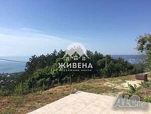 image_3
