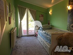 image_7