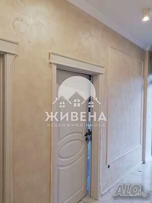 image_8