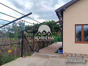 image_6