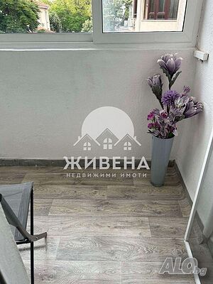 image_8