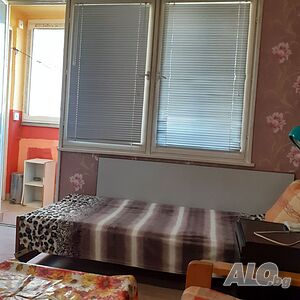 Стая под наем /Дългосрочно минимум 6 месеца договор