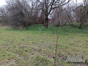 image_11