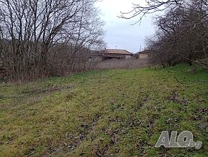 image_12