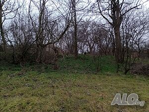 image_15