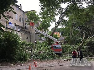 image_7
