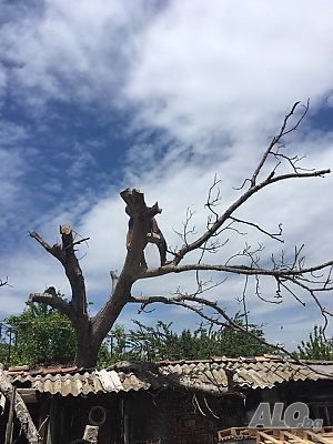 image_15