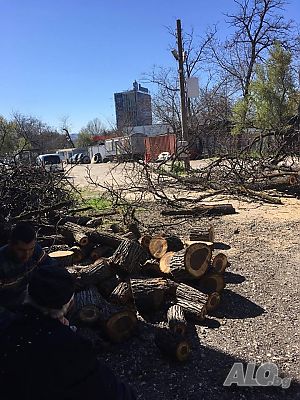 image_13
