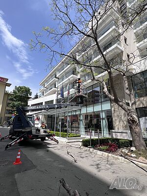 image_6