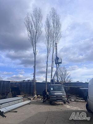 image_9