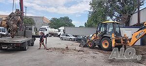 image_6