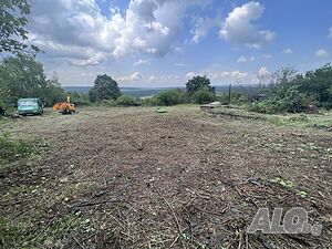 image_8