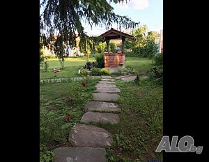 image_8