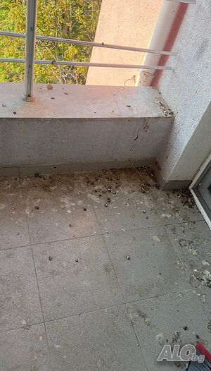 image_10