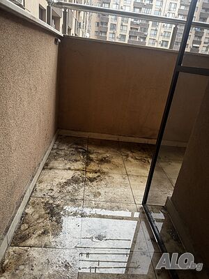 image_12
