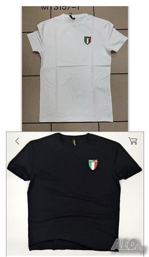 Мъжка тениска (M-2XL), 2цвята
