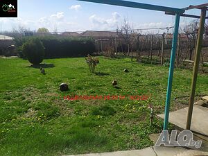 image_14