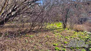 Парцел в гр. Перник, кв. Драгановец