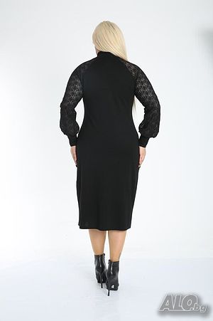 image_7