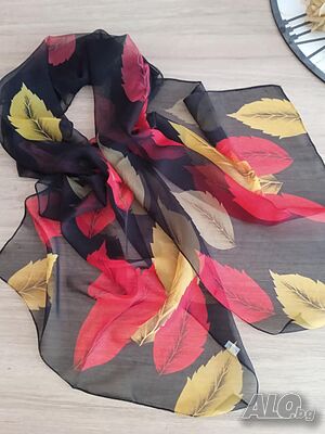 image_3
