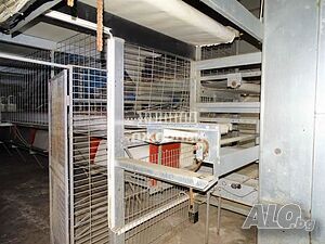 image_9