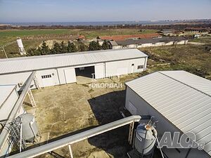 image_11