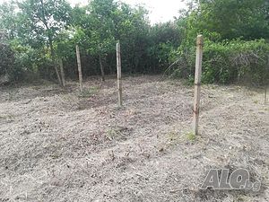 image_11