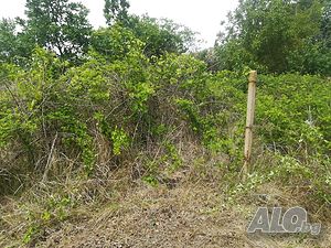 image_10