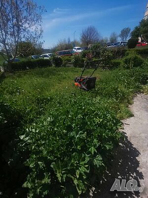 image_8