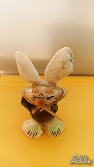 image_5
