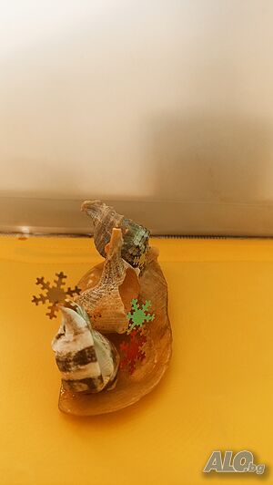 image_13