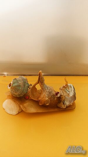 image_12