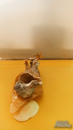 image_14
