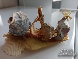 image_10