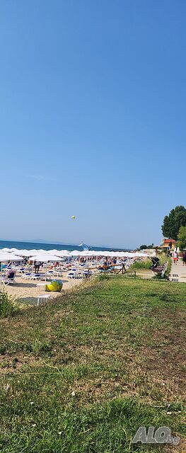 image_43