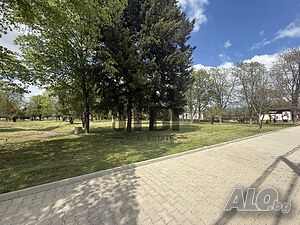 image_6