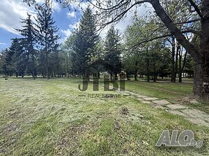 image_7