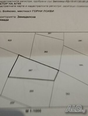 image_6