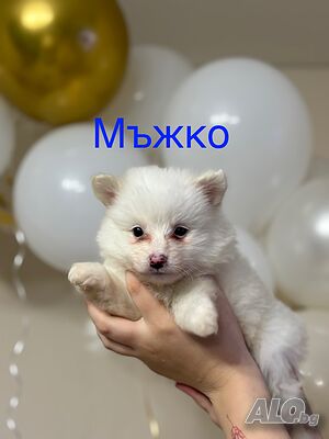 image_4