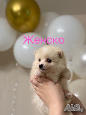 image_5