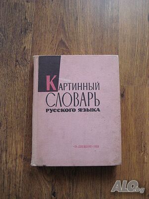 Картинный словарь русского языка - руско-английски-френски-изпански учебник