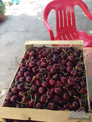 image_6