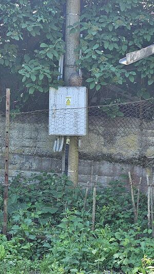 image_12