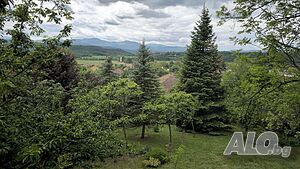image_15