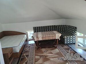 Стая под наем